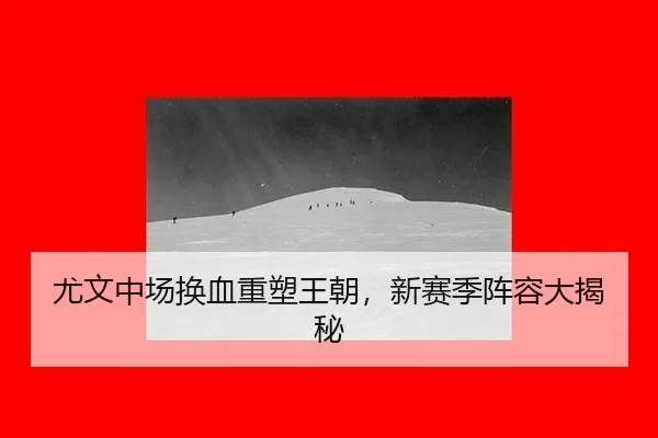 尤文中场换血重塑王朝，新赛季阵容大揭秘